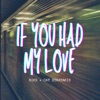 If You Had My Love (feat. Cat Stratakis) - Single