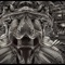 Problema - Tony Faulkner lyrics