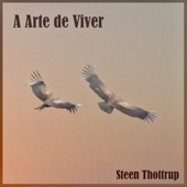 A Arte De Viver (feat. Juliana Silveira) artwork