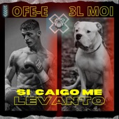 Si Caigo Me Levanto (feat. 3l Moi) artwork