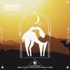 Enigma - Single