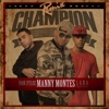 Champion (Remix) - Single