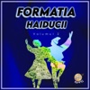 Formatia Haiducii, Vol. 2 (Muzica de petrecere VOL. 2)