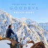 Never Have to Say Goodbye - EP