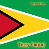 Guyana Baboo artwork