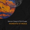 Moments of Peace - Single