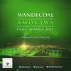 Amorawa - Single album lyrics, reviews, download