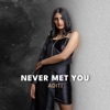 Never Met You - Single