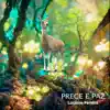 Prece E Paz - Single album lyrics, reviews, download