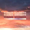 Summa Madness - Single album lyrics, reviews, download