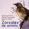 Zorzales de Antaño - Roberto Florio - Varias Orquestas - Buenos Aires, 2023
