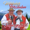 Supergefühl - Single