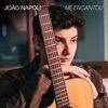 Me Encantou - Single