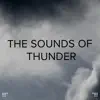 !!!" The Sounds of Thunder "!!! album lyrics, reviews, download
