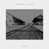 Próxima Parada - Single