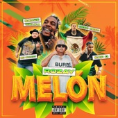 Melon (feat. Kap G, Sauce Walka & Bo Bundy) artwork