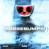 Goosebumps - EP album lyrics, reviews, download