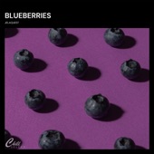 Blueberries artwork