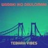 Waraki Iko Daulomani - Single