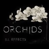 Orchids