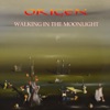 Walking in the Moonlight - Single