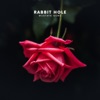 Rabbit Hole - Single