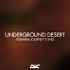 Underground Desert (Terraria Journey's End) - Single album lyrics, reviews, download