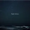 Night Solace - Single album lyrics, reviews, download
