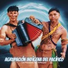 Agrupacion Indigena del Pacífico - Single