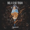 Syamel - Bila Kau Tiada