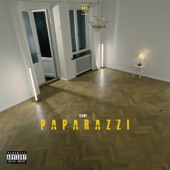 Paparazzi artwork