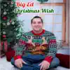 Christmas Wish - Single album lyrics, reviews, download