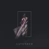 Lavender album lyrics, reviews, download