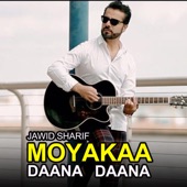 Moyakaa Daana Daana artwork