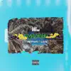Jamaica (feat. Daniel Skye) - Single album lyrics, reviews, download
