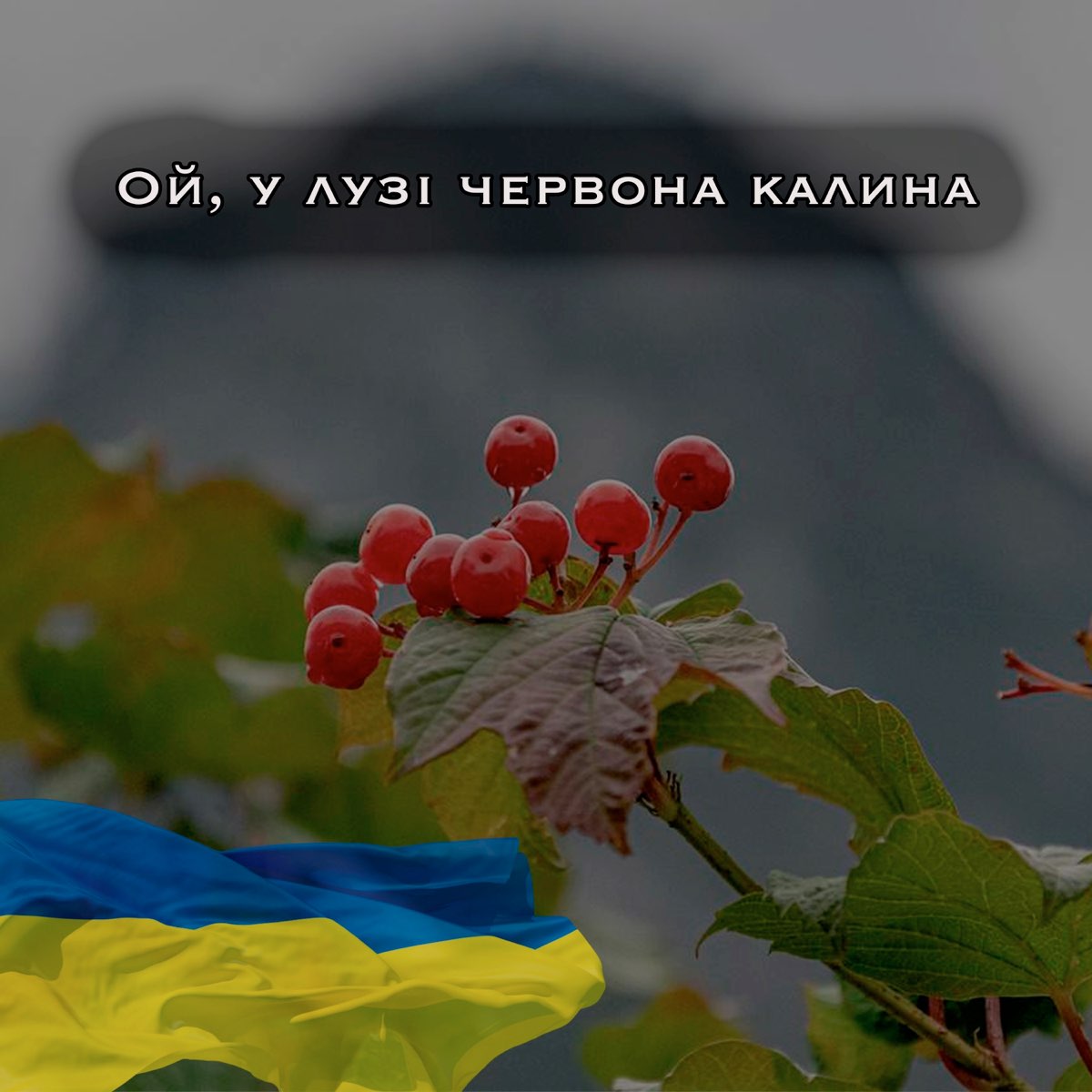 Ой у лузі ноти. Червона калина ноты. Ой у лузі ноти. Ноти ой у лузі червона калина. Червона калина текст.