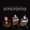 Sincronia (feat. Edu Ribeiro, Fábio Torres & Paulo Paulelli) album lyrics, reviews, download