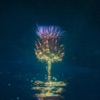 Correct Me If I'm Wrong - Single
