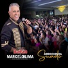 Arrochinha Suado - Single