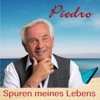 Spuren meines Lebens - Single