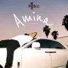Amina (feat. Boybreed) - Single album lyrics, reviews, download
