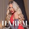 Harem - Single