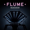 Flume: Deluxe Edition, 2012