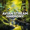 Avian Stream Harmony