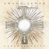 Amado Señor artwork