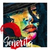 Señorita - Single