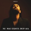 Nu mai exista dup-aia - Single