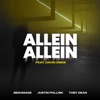 Allein Allein (feat. David Emde) - Single