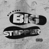 Big Stepper - Single