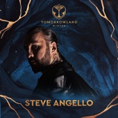 Tomorrowland Winter 2023: Steve Angello at Mainstage (DJ Mix) artwork